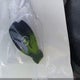 WD3PG2EA4J3416795 2018 Mercedes-Benz Metris auction photo thumbnail 11