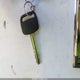JT3GN86R920235976 2002 Toyota 4Runner Sr5 V6 auction photo thumbnail 11