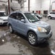 JHLRE38797C063251 2007 Honda Cr-V Ex-L auction photo thumbnail 1
