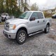 1FTFW1ET0DKG43007 2013 Ford F-150 Xlt auction photo thumbnail 2