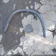 5N1AT2MT5GC771702 2016 Nissan Rogue S/Sl/Sv auction photo thumbnail 12