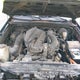 5TETU62N36Z165689 2006 Toyota Tacoma Prerunner V6 auction photo thumbnail 10