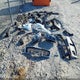 5XYPGDA33LG641989 2020 Kia Sorento 2.4L Lx auction photo thumbnail 12
