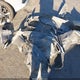 SHHFK7H85LU405573 2020 Honda Civic Ex-L auction photo thumbnail 12