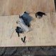 1FMCU9G67NUA74043 2022 Ford Escape Se auction photo thumbnail 12