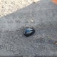 3FADP4TJ6GM169784 2016 Ford Fiesta S auction photo thumbnail 12