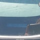 1NXBR30E28Z960044 2008 Toyota Corolla Le auction photo thumbnail 12