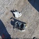 JF2SHBBC8BH746450 2011 Subaru Forester 2.5X auction photo thumbnail 12