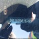 3KPF24AD0ME287429 2021 Kia Forte Lxs auction photo thumbnail 9