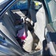 4T1BF1FK3HU353872 2017 Toyota Camry Le auction photo thumbnail 8
