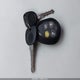 3GCPKREA1BG249193 2011 Chevrolet Silverado 1500 Ls auction photo thumbnail 11