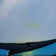 2FABP7BV0BX175476 2011 Ford Crown Victoria Police Interceptor auction photo thumbnail 10