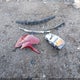 2C4RC1CG4ER165348 2014 Chrysler Town & Country Touring-L auction photo thumbnail 10