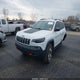 1C4PJMBX9KD397359 2019 Jeep Cherokee Trailhawk 4X4 auction photo thumbnail 2