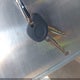 1G4HC5EM7BU152397 2011 Buick Lucerne Cxl auction photo thumbnail 11