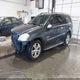 4JGBF7BE2AA538585 2010 Mercedes-Benz Gl 450 4Matic auction photo thumbnail 2