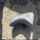 2C3CDXGJ8LH185783 2020 Dodge Charger Scat Pack Rwd auction photo thumbnail 11