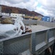 1FDTF4HY5KDA14030 2019 Ford F-450 Chassis Xl auction photo thumbnail 7