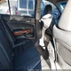 1HGCP3F80BA031903 2011 Honda Accord 3.5 Ex-L auction photo thumbnail 8