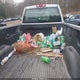 1GTN1TEX5BZ306023 2011 GMC Sierra 1500 Work Truck auction photo thumbnail 8