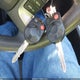 3FAHP0HA8AR431849 2010 Ford Fusion Se auction photo thumbnail 11
