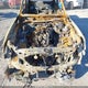 3TYKB5FN8RT000622 2024 Toyota Tacoma Trd Sport auction photo thumbnail 10