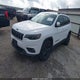 1C4PJLLBXLD515949 2020 Jeep Cherokee Altitude Fwd auction photo thumbnail 2