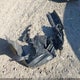 1C4PJMDX8KD161363 2019 Jeep Cherokee Limited 4X4 auction photo thumbnail 12