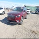 1C4PJMDX8KD161363 2019 Jeep Cherokee Limited 4X4 auction photo thumbnail 2