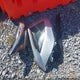1N4BL4DV4SN378315 2025 Nissan Altima Sv Fwd auction photo thumbnail 11
