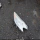 19UDE2F34HA011977 2017 Acura Ilx Acurawatch Plus Package auction photo thumbnail 12