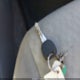 1G1ZS52F15F154181 2005 Chevrolet Malibu auction photo thumbnail 11