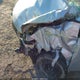 2T1BURHE1EC080620 2014 Toyota Corolla Le auction photo thumbnail 6