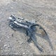 4JGDF7CE2DA171067 2013 Mercedes-Benz Gl 450 4Matic auction photo thumbnail 12