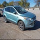 1FMCU0HX7DUD52263 2013 Ford Escape Sel auction photo thumbnail 1