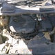 1FMCU0GX8FUA45365 2015 Ford Escape Se auction photo thumbnail 10
