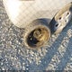 2G1WG5EK6B1133164 2011 Chevrolet Impala Lt auction photo thumbnail 12