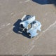 1N4AL3AP7FN320877 2015 Nissan Altima 2.5/2.5 S/2.5 Sl/2.5 Sv auction photo thumbnail 12