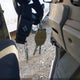 JALB4T175G7W00118 2016 Isuzu Npr auction photo thumbnail 6