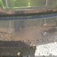 1N4AL3AP9DN512685 2013 Nissan Altima 2.5 S auction photo thumbnail 17
