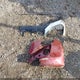 2C4RC1BG9HR542083 2017 Chrysler Pacifica Touring-L auction photo thumbnail 12