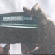 5N1AL0MN2GC519699 2016 Infiniti Qx60 auction photo thumbnail 9