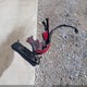 KMHCT4AEXFU855811 2015 Hyundai Accent Gls auction photo thumbnail 12