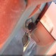 1FAHP36N79W122616 2009 Ford Focus Ses auction photo thumbnail 11