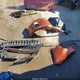 1N4BL4CV1KC107404 2019 Nissan Altima 2.5 Sr auction photo thumbnail 12
