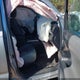 3TMAZ5CN4KM113223 2019 Toyota Tacoma Sr5 V6 auction photo thumbnail 5