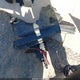 1N4AA6AP4GC437840 2016 Nissan Maxima 3.5 Sl auction photo thumbnail 12