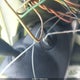 2T1BR32E58C892644 2008 Toyota Corolla S auction photo thumbnail 11