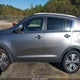 KNDPC3AC9F7790589 2015 Kia Sportage Ex auction photo thumbnail 14
