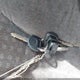 1GCCS19W528243814 2002 Chevrolet S-10 Ls auction photo thumbnail 11